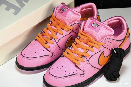 Powerpuff Girls  Nk x Dunk The Low FZ8319-600 SB 1110